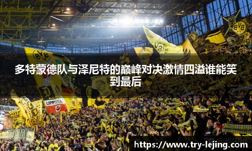 多特蒙德队与泽尼特的巅峰对决激情四溢谁能笑到最后